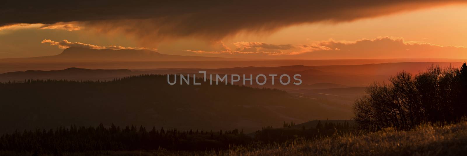 Cypress Hills Sunset Elkwater Alberta Horeshoe Canyon