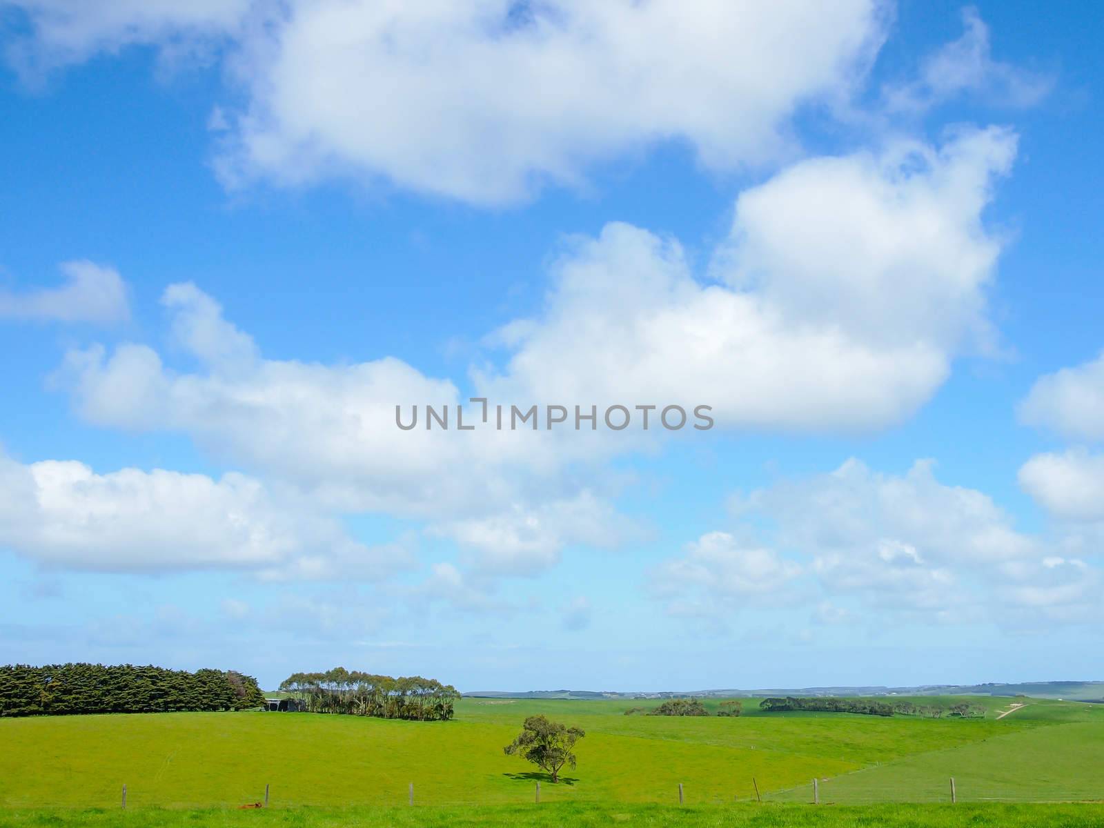 farm at Great Ocean Road , country side of Melbourne , Australia