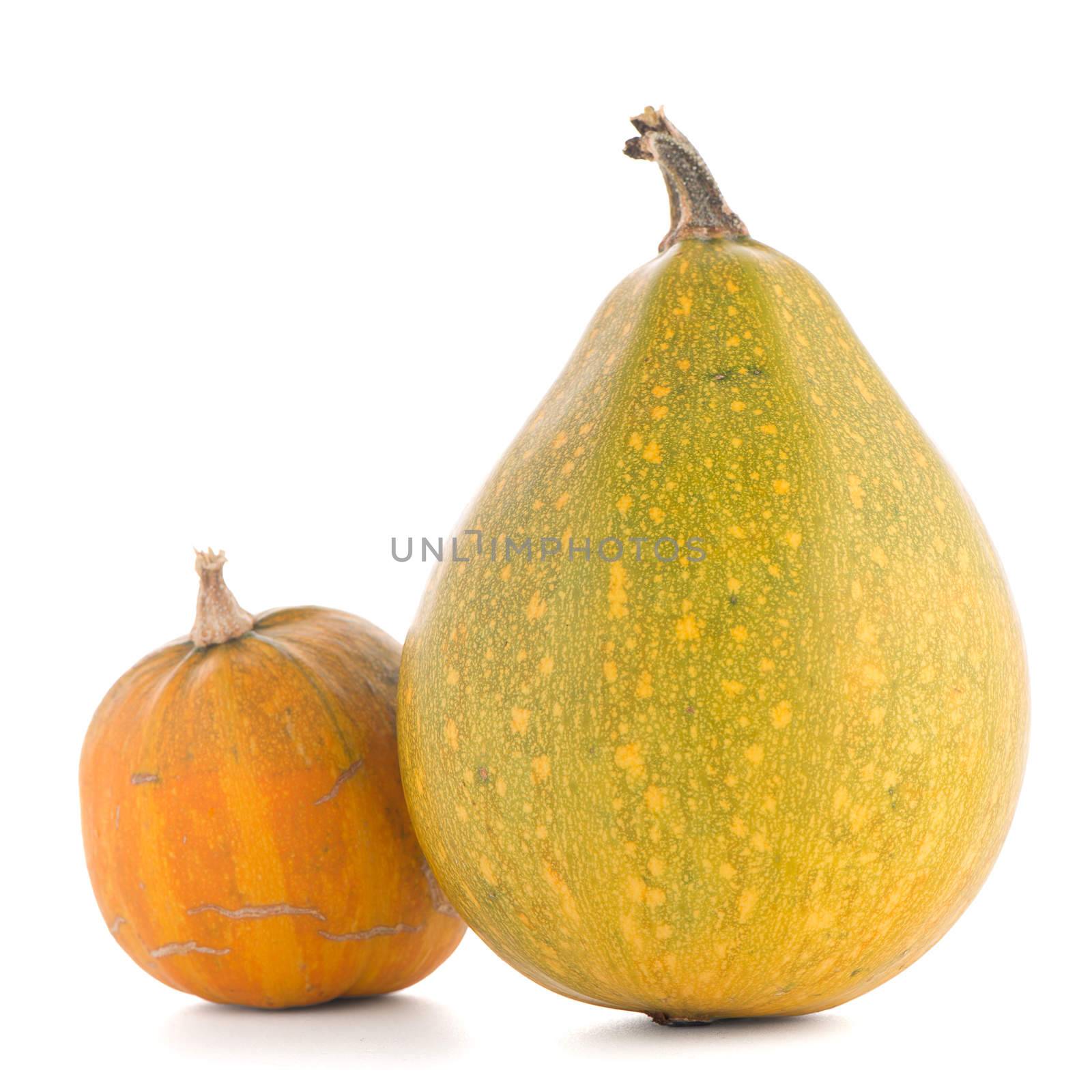 Pumpkins isolated on white background