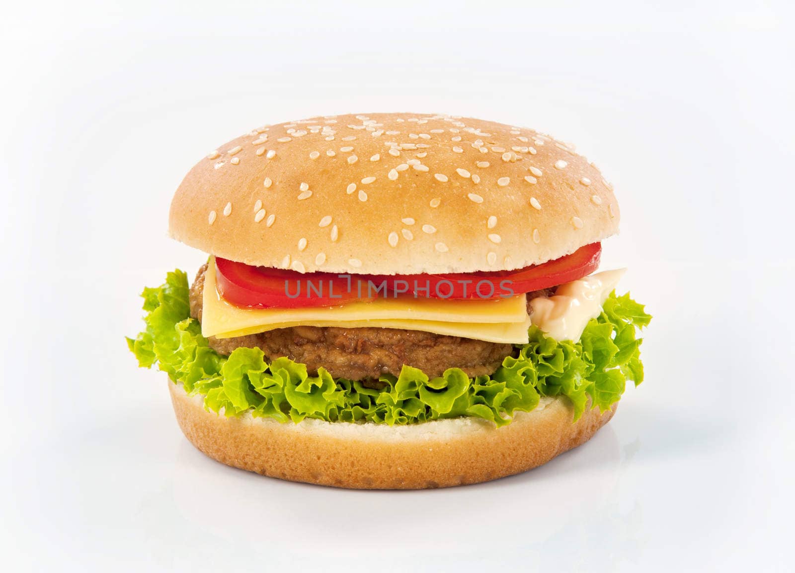 Studio shot of a hamburger - closeup