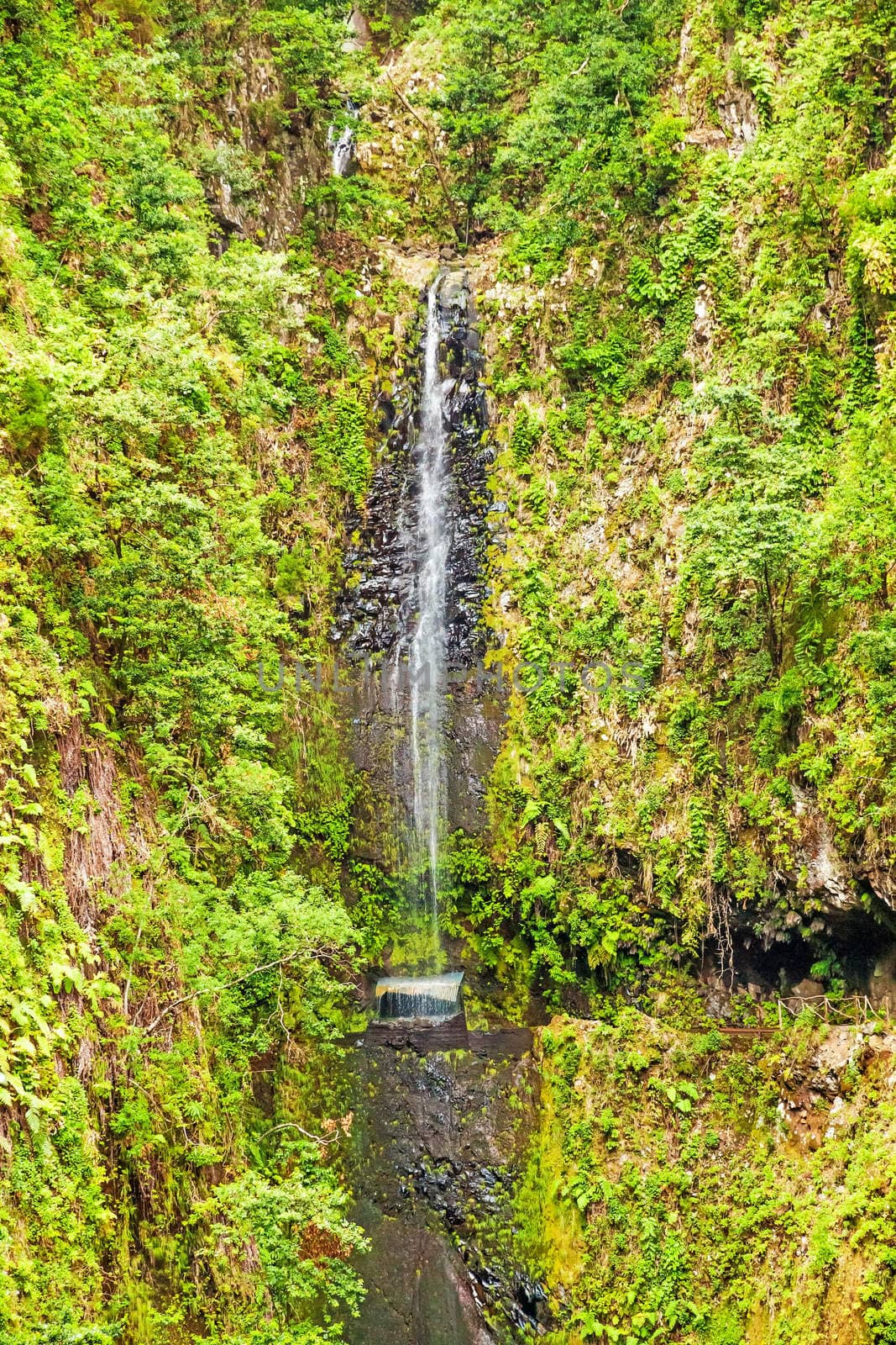 tropical waterfall on hike trail Levada do Central da Ribeira da Janela, Madeira island