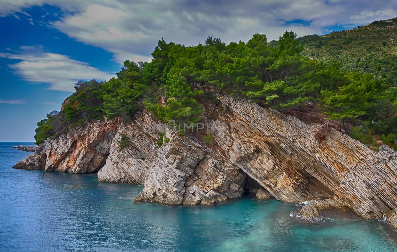 Coastal rocks with  pine trees. Adriatic Sea
