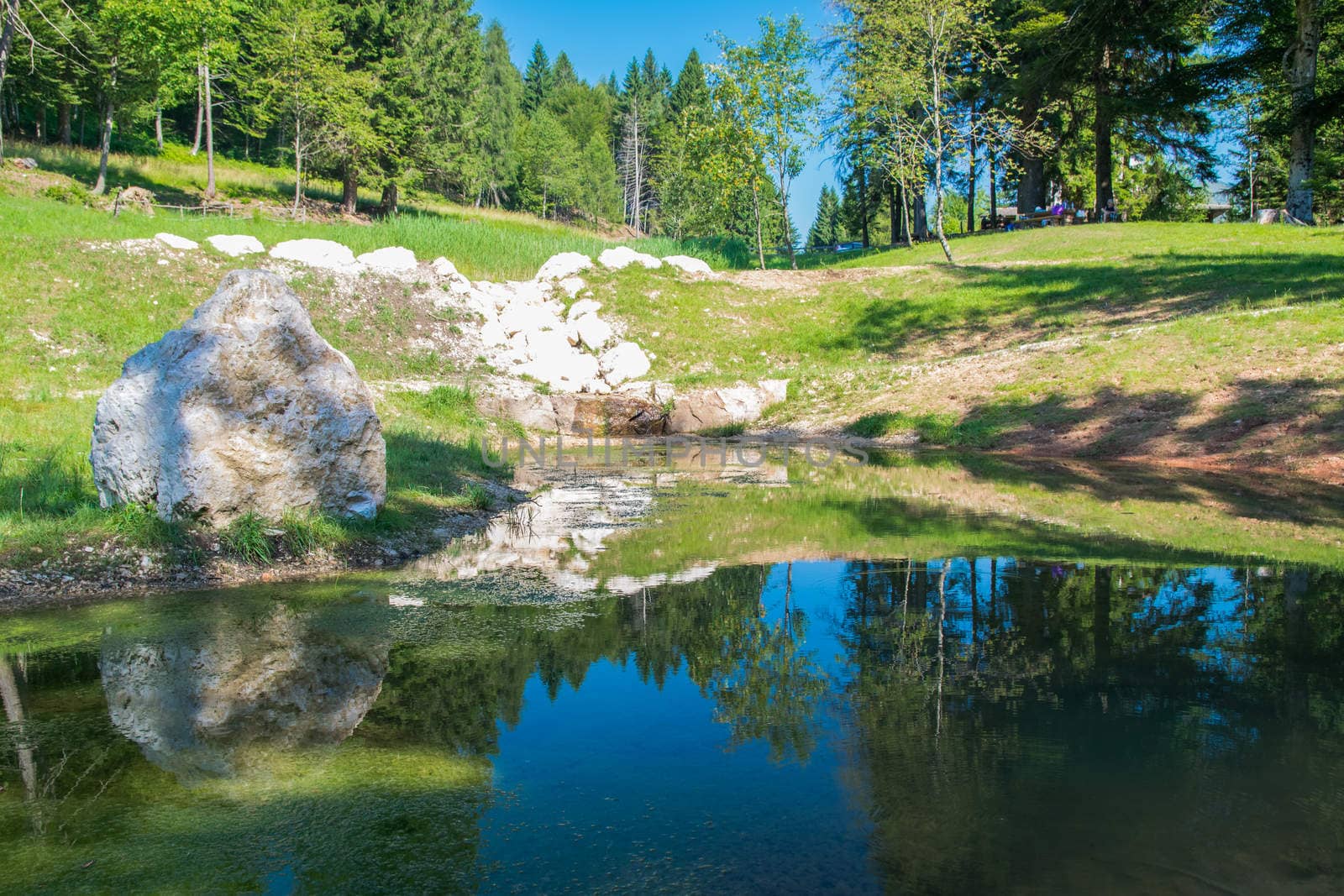 Small pond in the woods of the Italian Alps.