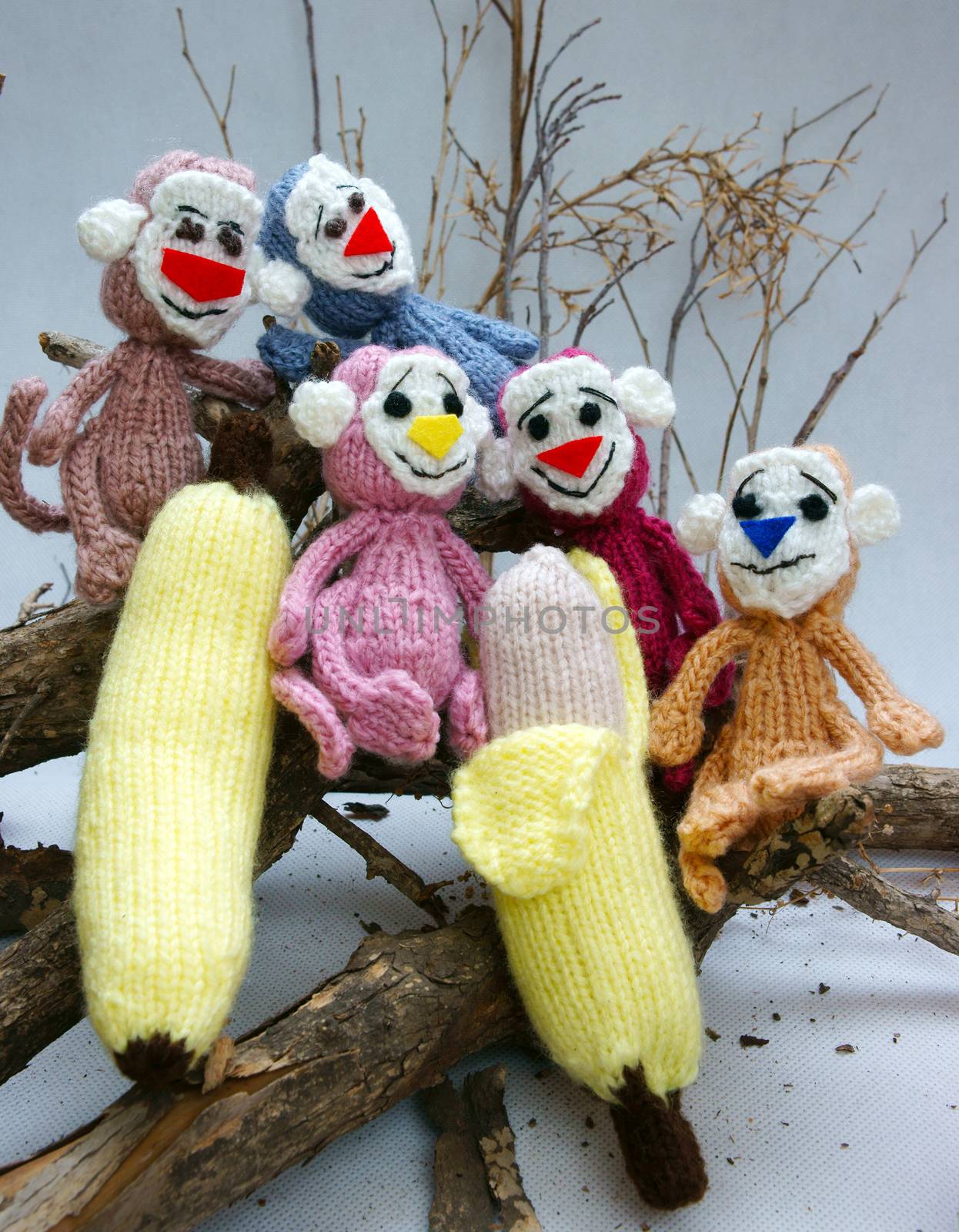 2016, year of monkey, symbol of intelligent, lucky, agile, group of handmade monkey on branch of tree with banana, knitted toy as stuffed animal make from yarn,  hand made product on white background