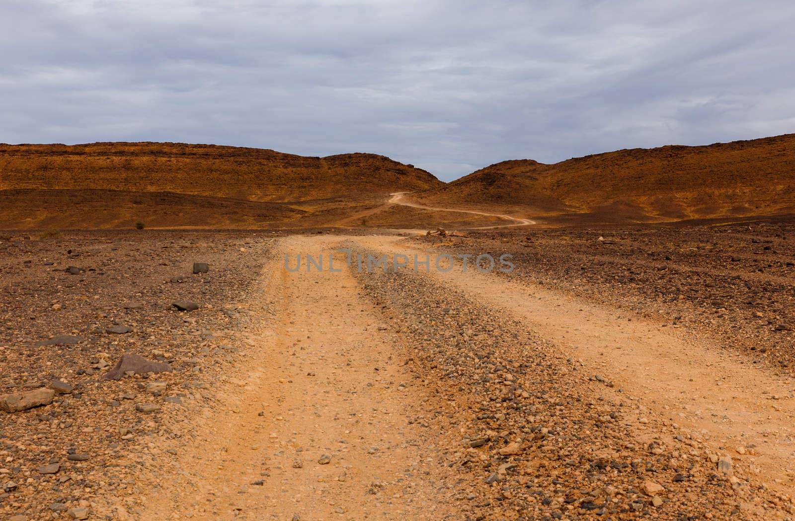 road in the desert by Mieszko9