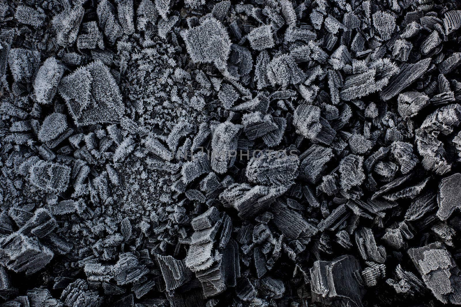 Black coal in white frost. by sergey_pankin