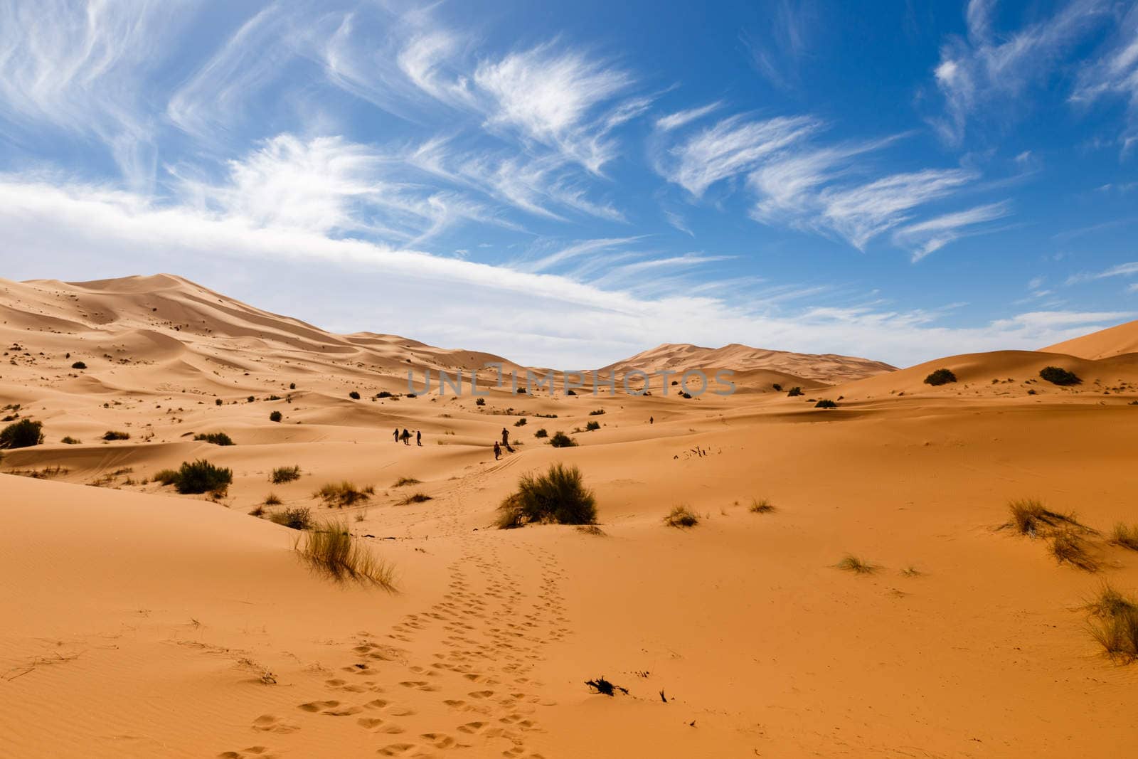 dune erg Chebbi in the blue sky, Morocco