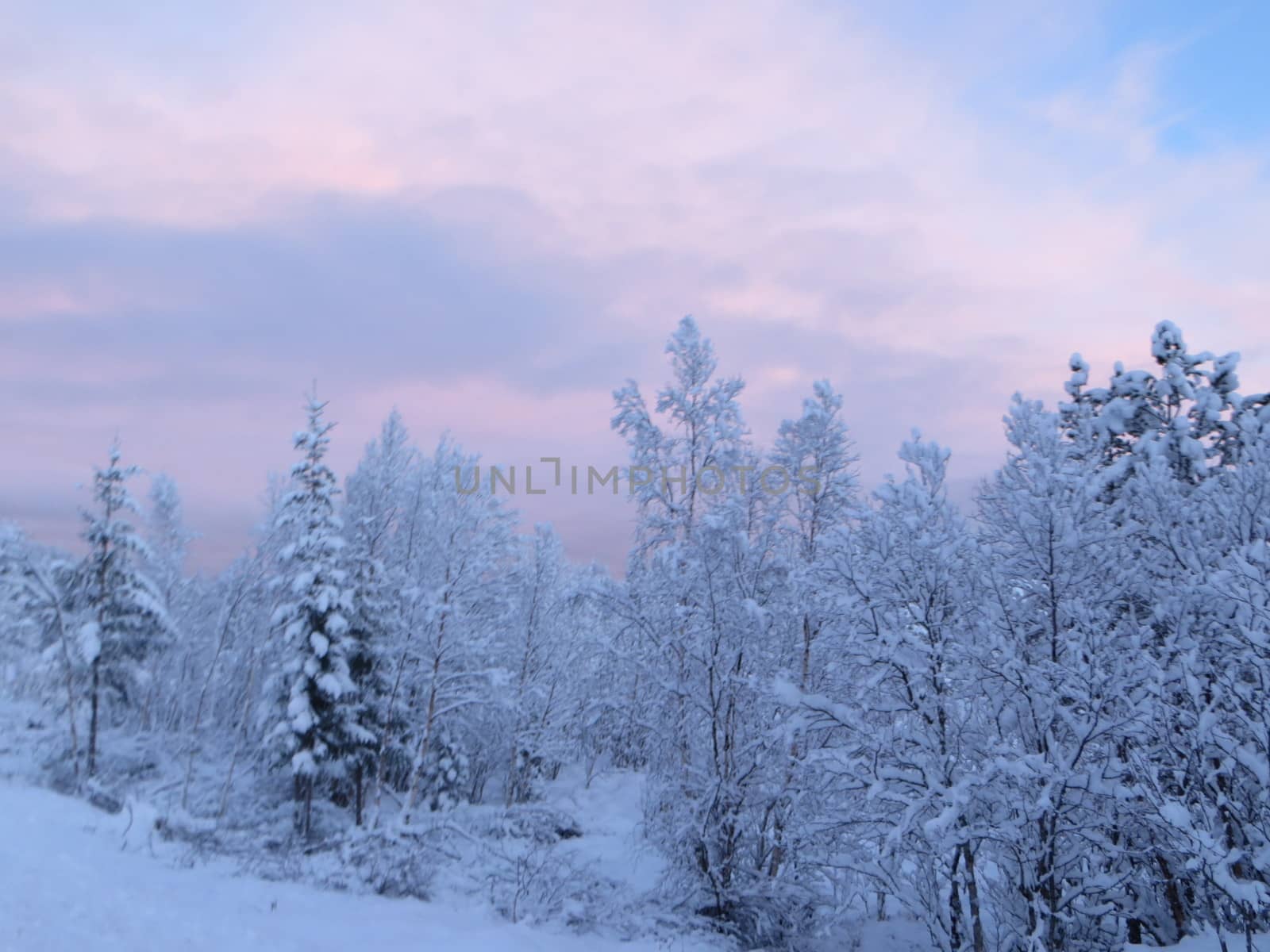 winter landscape, Norway