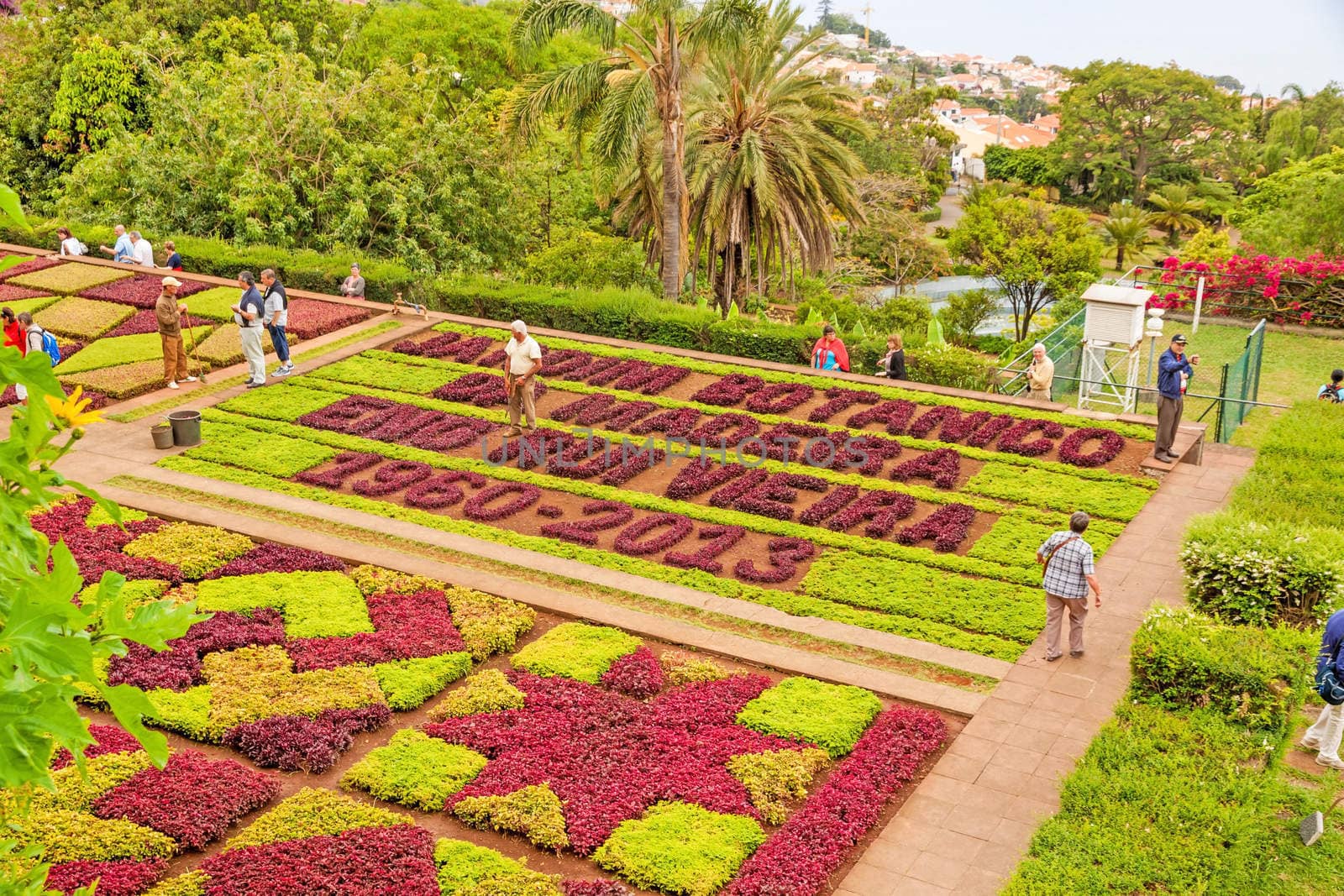 Funchal, Portugal - June 03, 2013: Botanical garden "Jardim Botanico" in Funchal, Madeira. A famous tourist destination on the island Madeira.