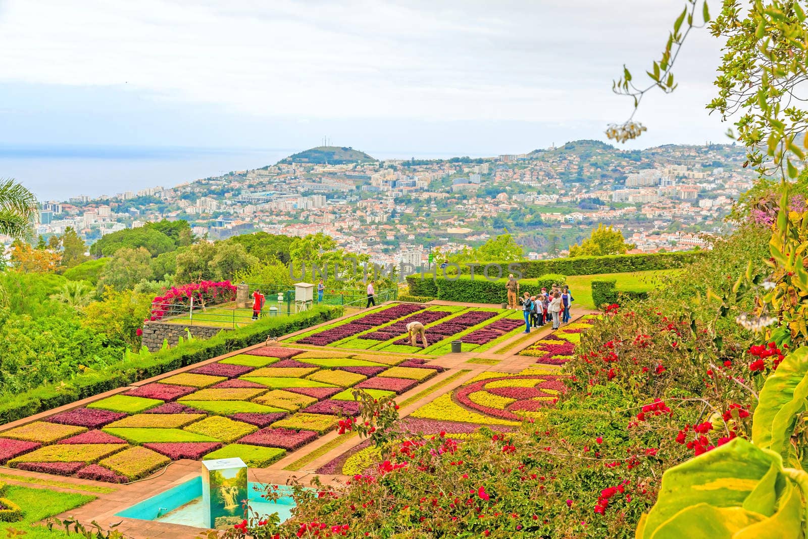 Funchal, Portugal - June 03, 2013: Botanical garden "Jardim Botanico" in Funchal, Madeira. A famous tourist destination on the island Madeira.