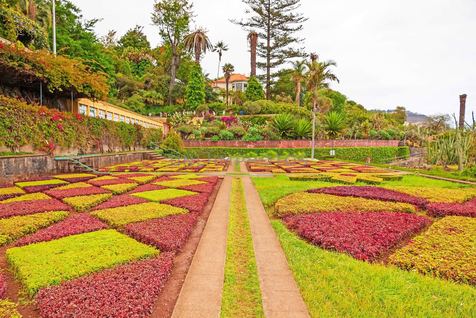 Funchal, Portugal - June 03, 2013: Botanical garden "Jardim Botanico" in Funchal, Madeira. A famous tourist destination on the island Madeira.