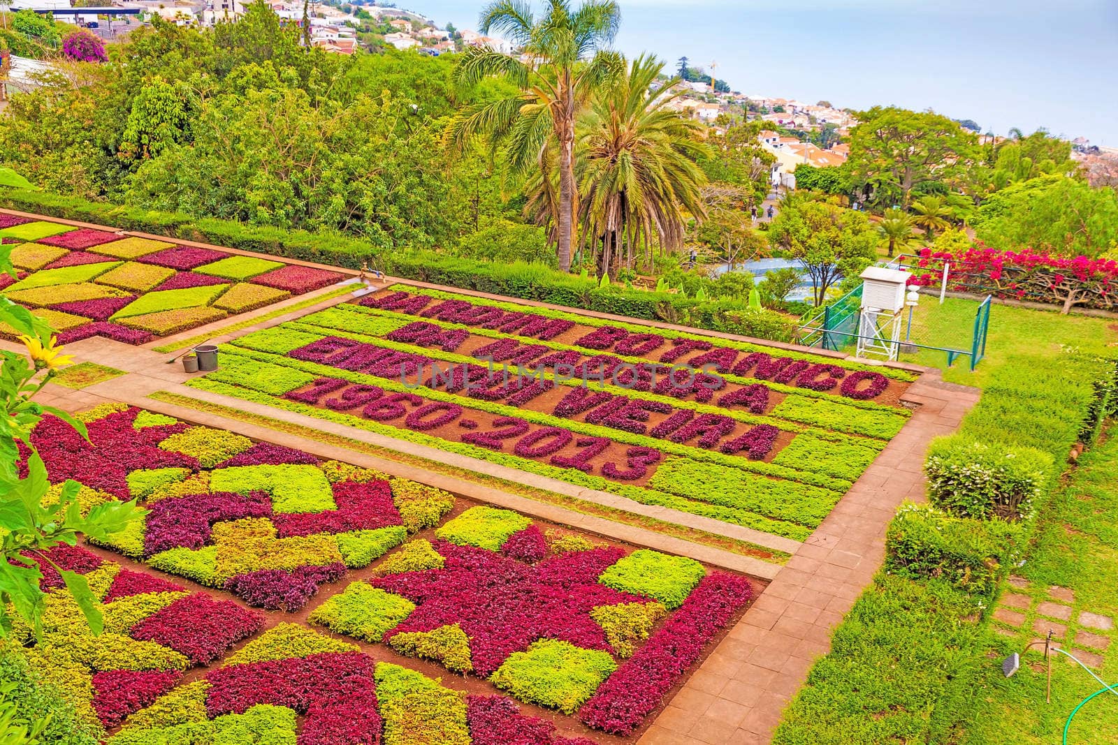 Funchal, Portugal - June 03, 2013: Botanical garden "Jardim Botanico" in Funchal, Madeira, Portugal on June 03, 2013. A famous tourist destination on the island Madeira.