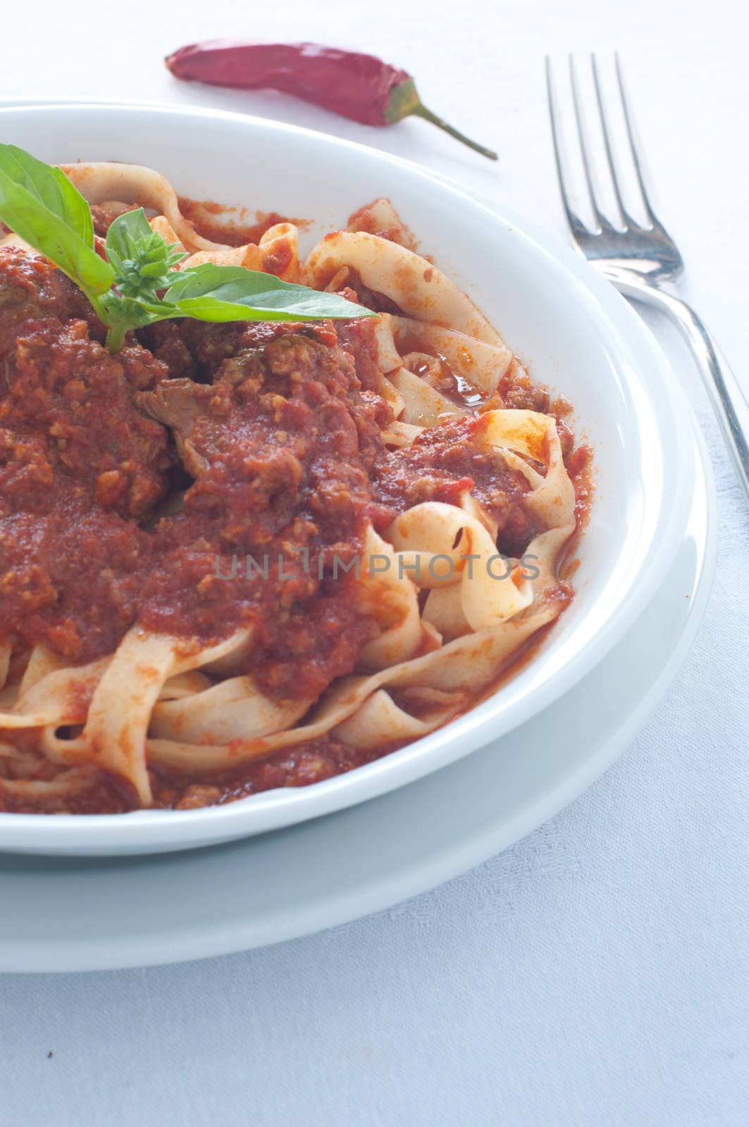 Homemade pasta with ragu of wild boar from italy