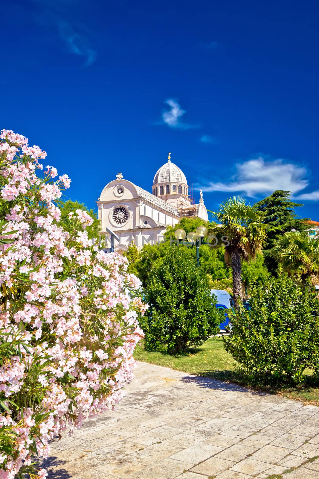 Sibenik cathedral in spring flowers vertical view, UNESCO world heritage site