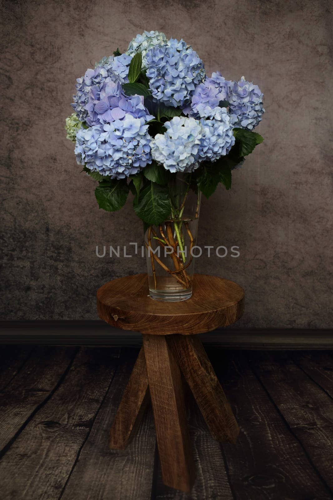 Hydrangea flowers from the garden cut and arranged in a glass vase and sitting on a rustic timber stool table.   Home decor, springtime, floral arrangement