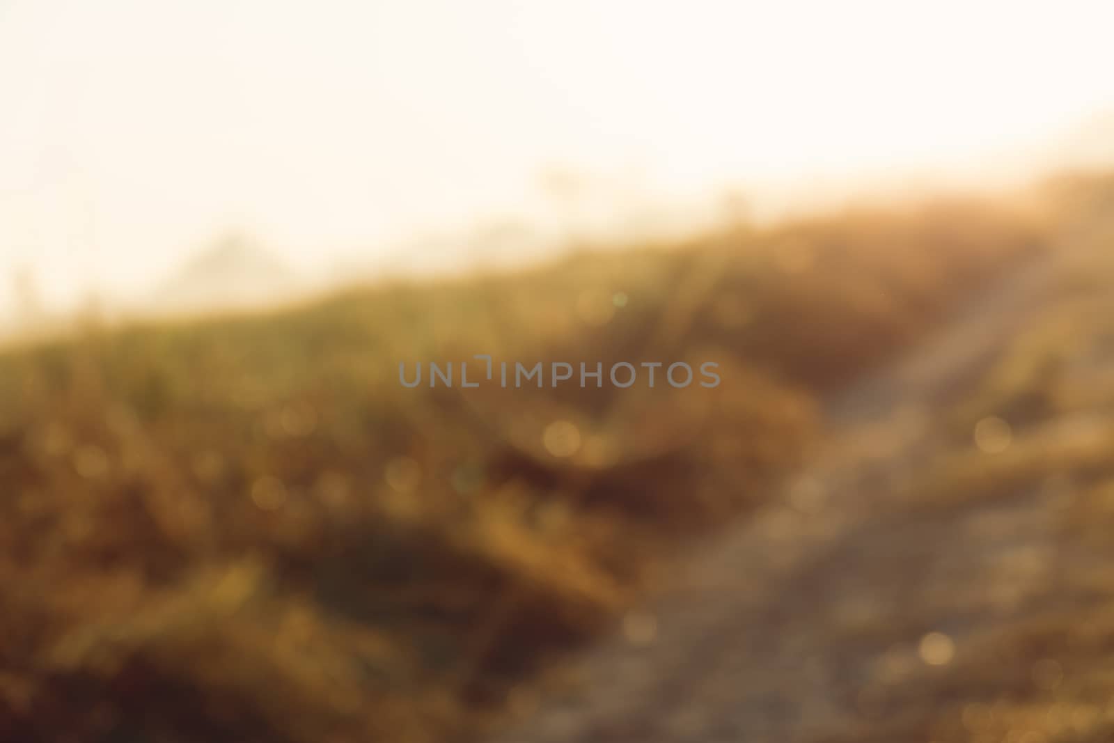 abstract natural blur background, defocused leaves, bokeh by teerawit