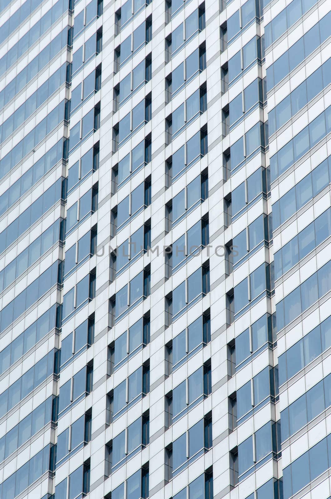 Modern windows the building