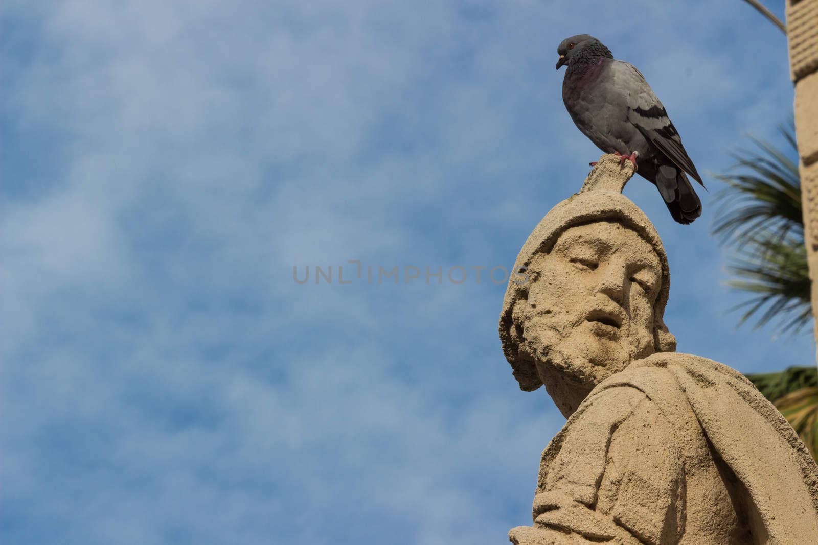 Sicily, Italy: the baroque statue with pigeon