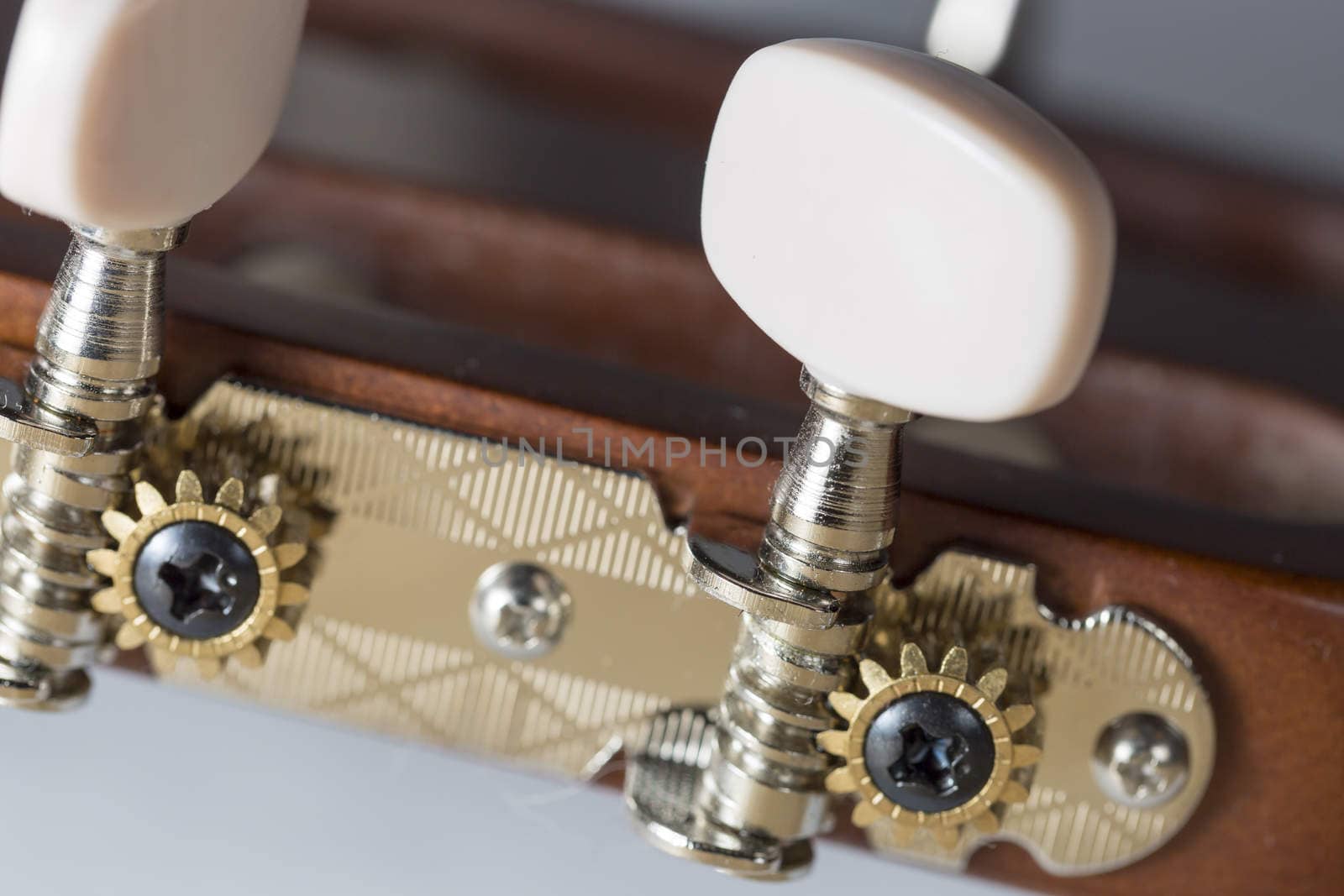 Guitar Machine Heads Close up macro image.