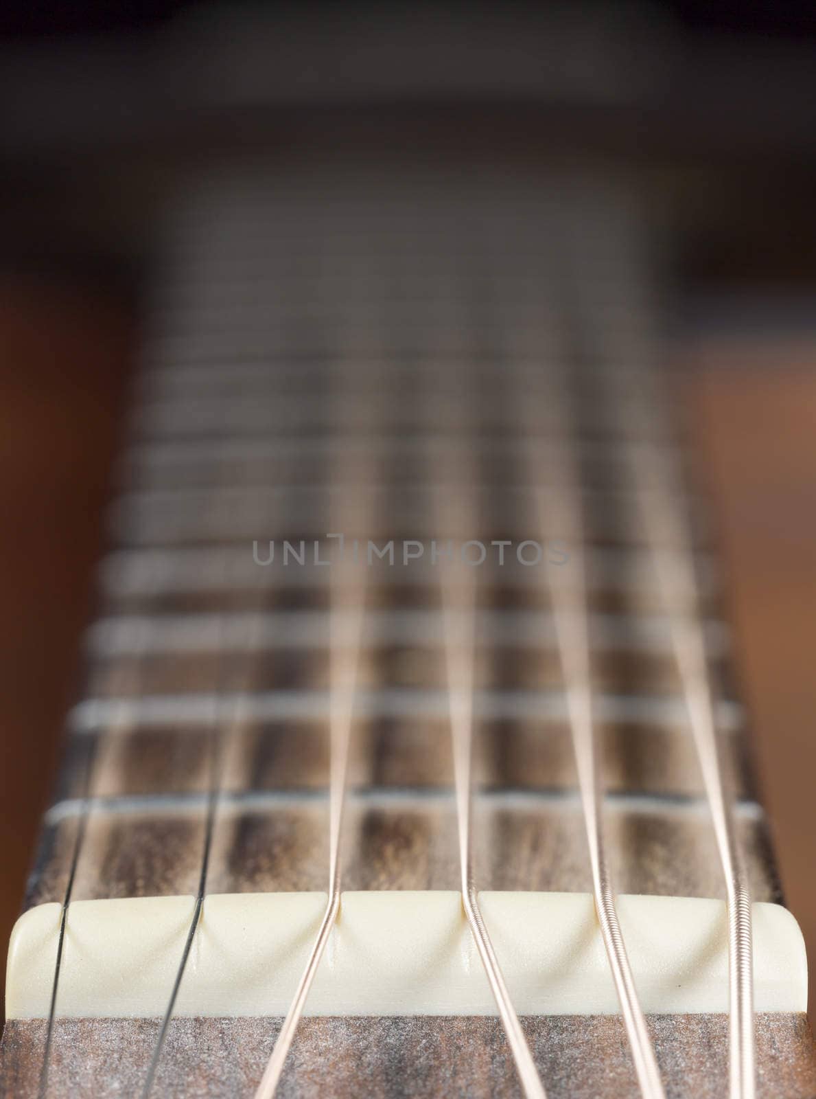 Guitar Nut and Strings on a steel string guitar.