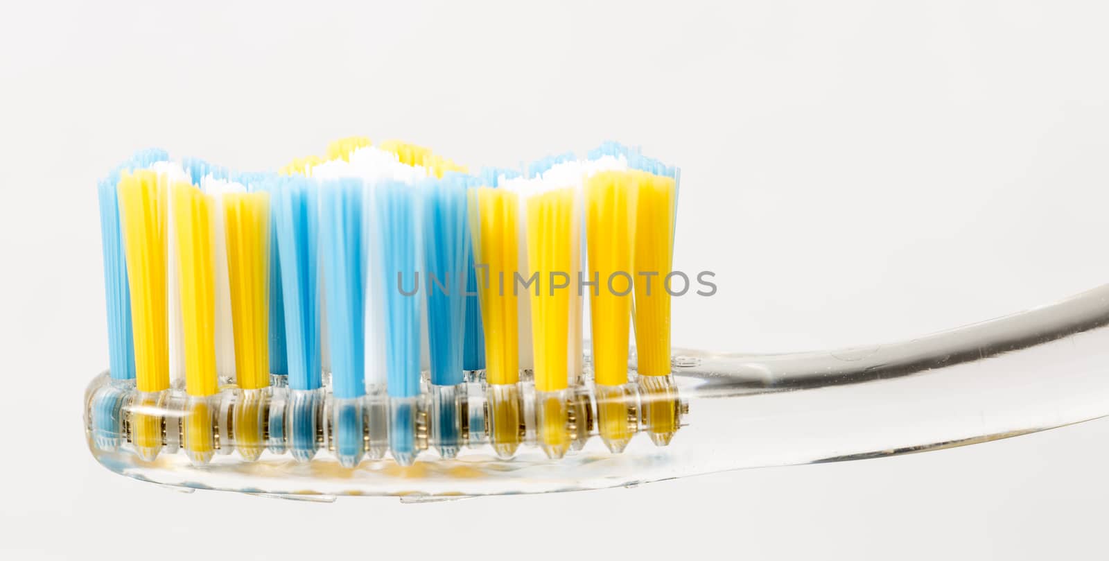 Toothbrush Close Up on white background.