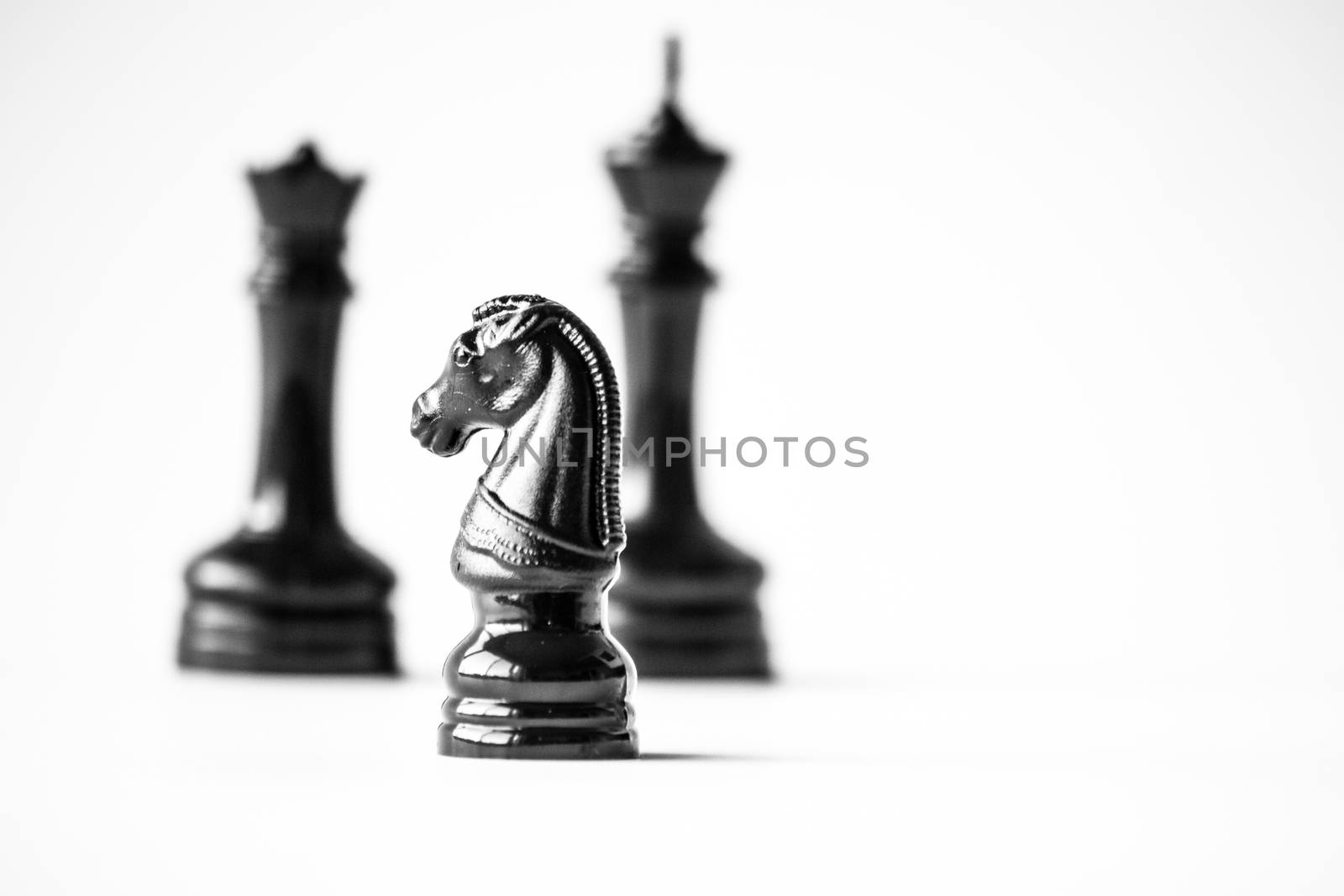 Chess horse by rmbarricarte