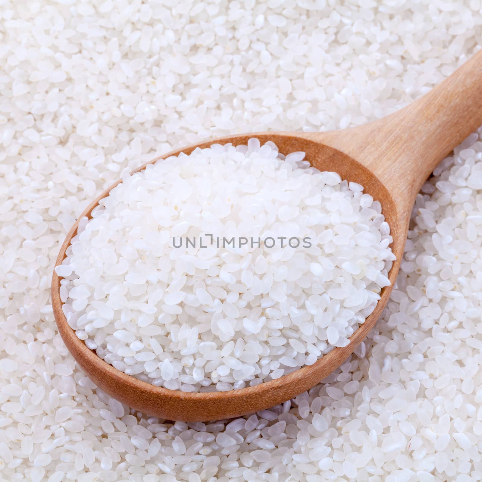 Japanese rice, the short rice used for sushi in wooden spoon with selective focus.