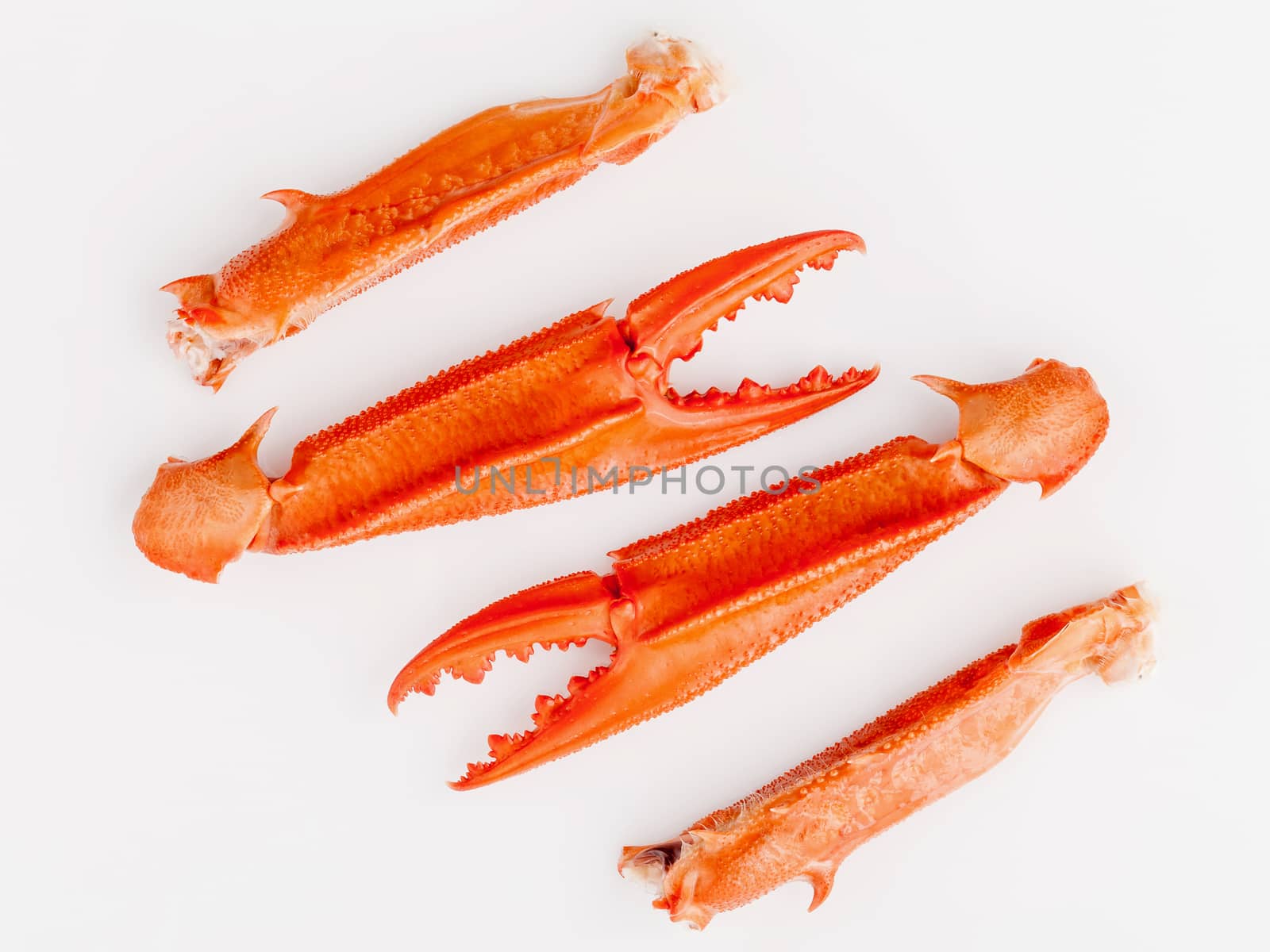 Boiled crab claws isolated on white background for crabs and sea by kerdkanno