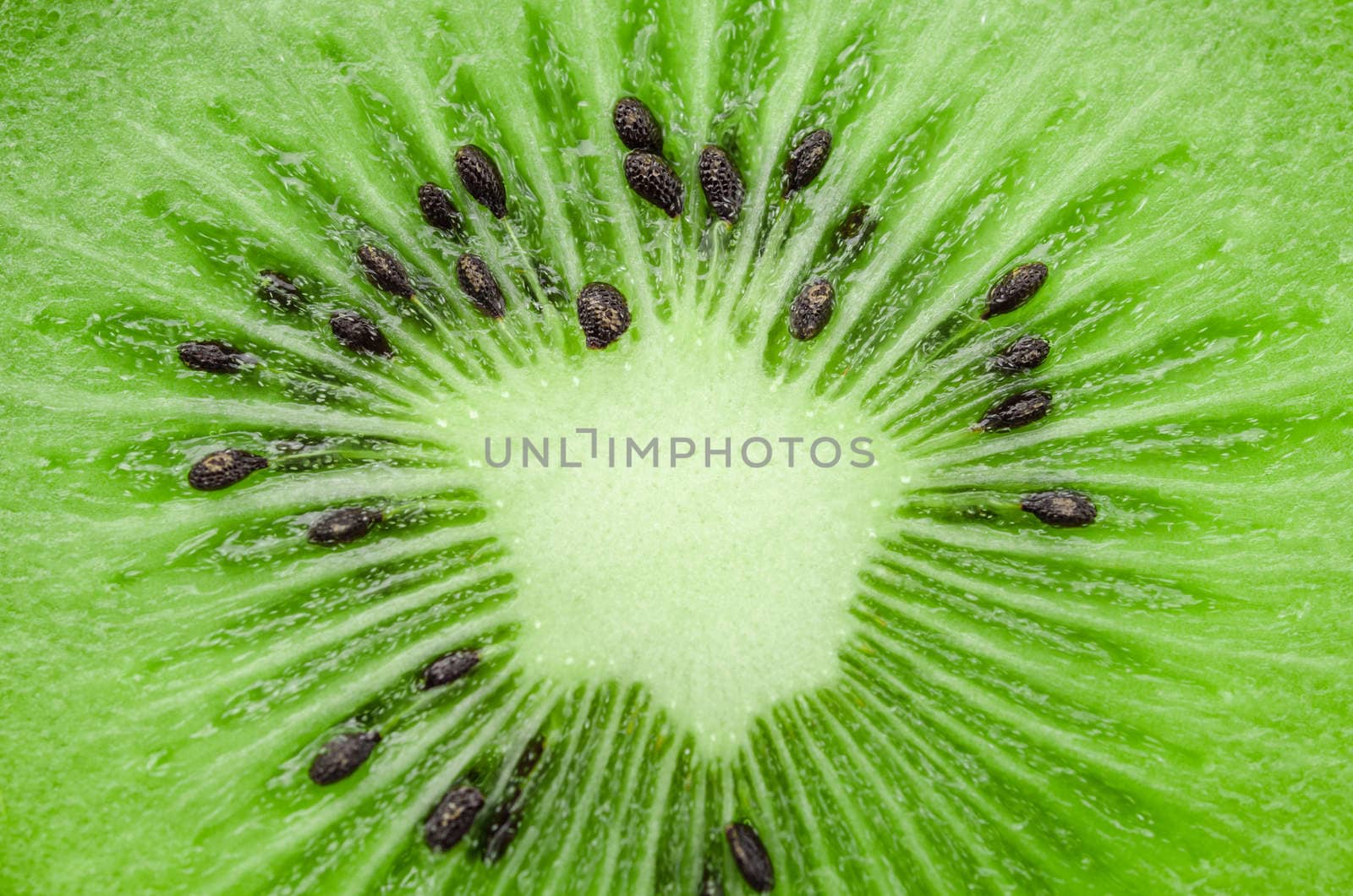 Close up center slice of fresh kiwi fruit