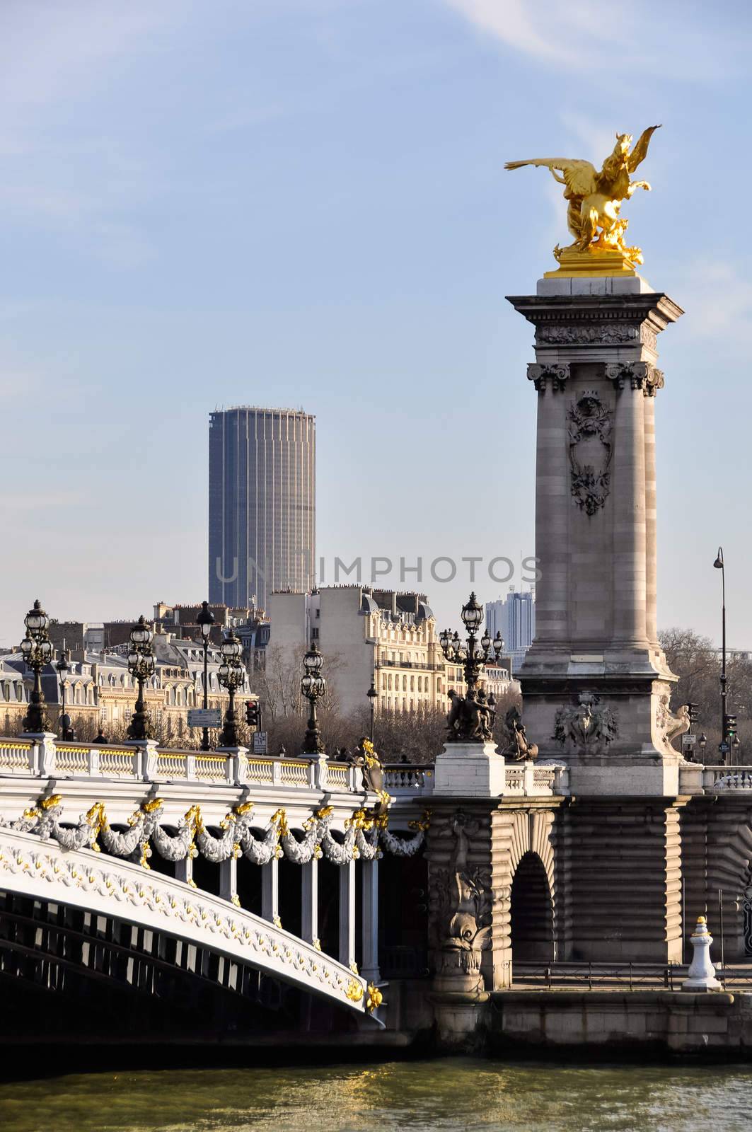 Pont Alexandre III and Montparnasse Tower in the background in Paris, France