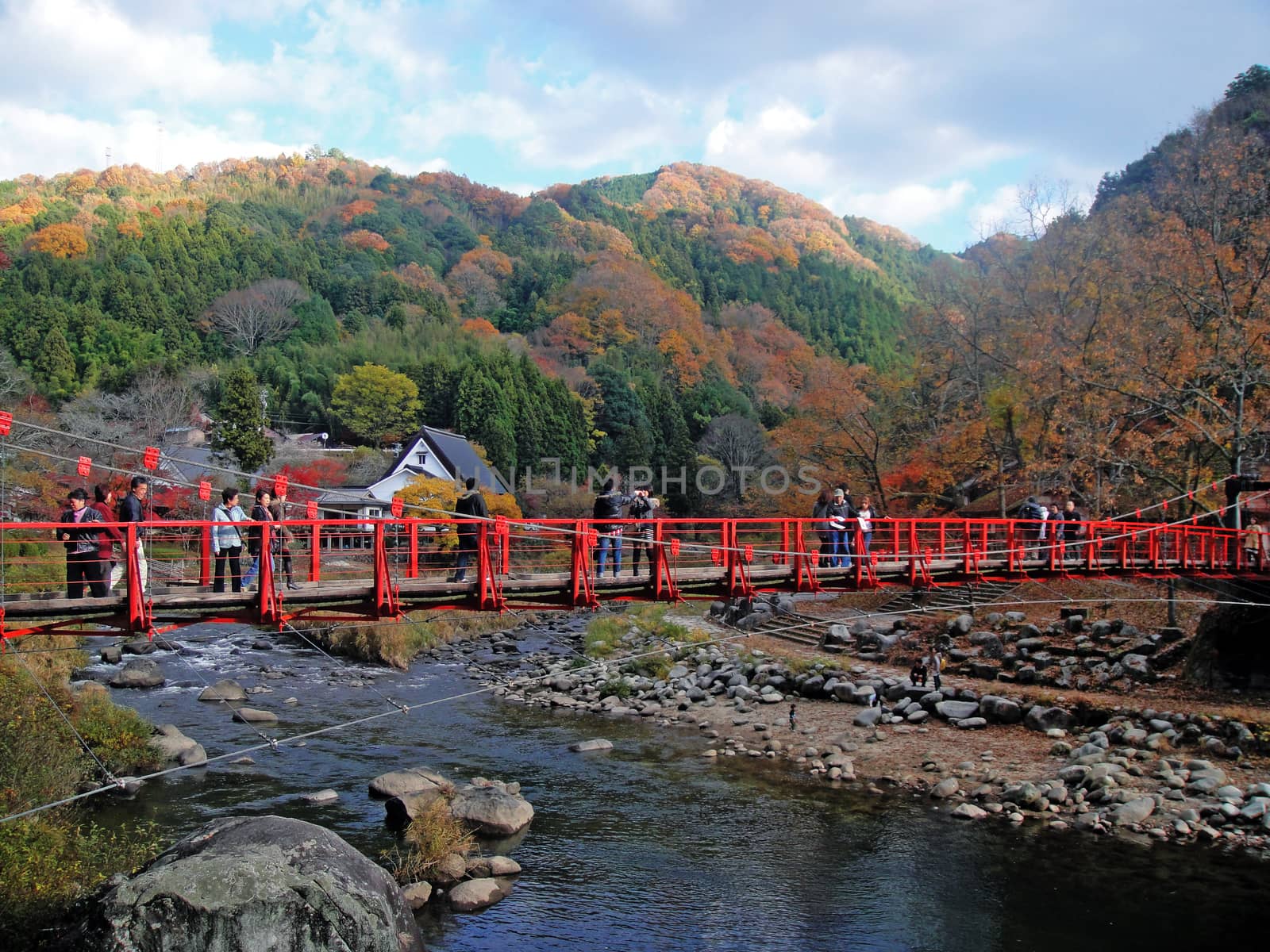 beautiful red leaves in Aichi, Japan