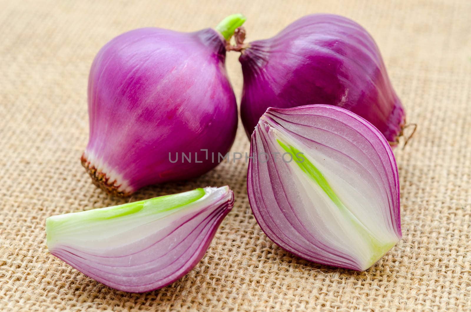 Red onion with green leaves on sack background.