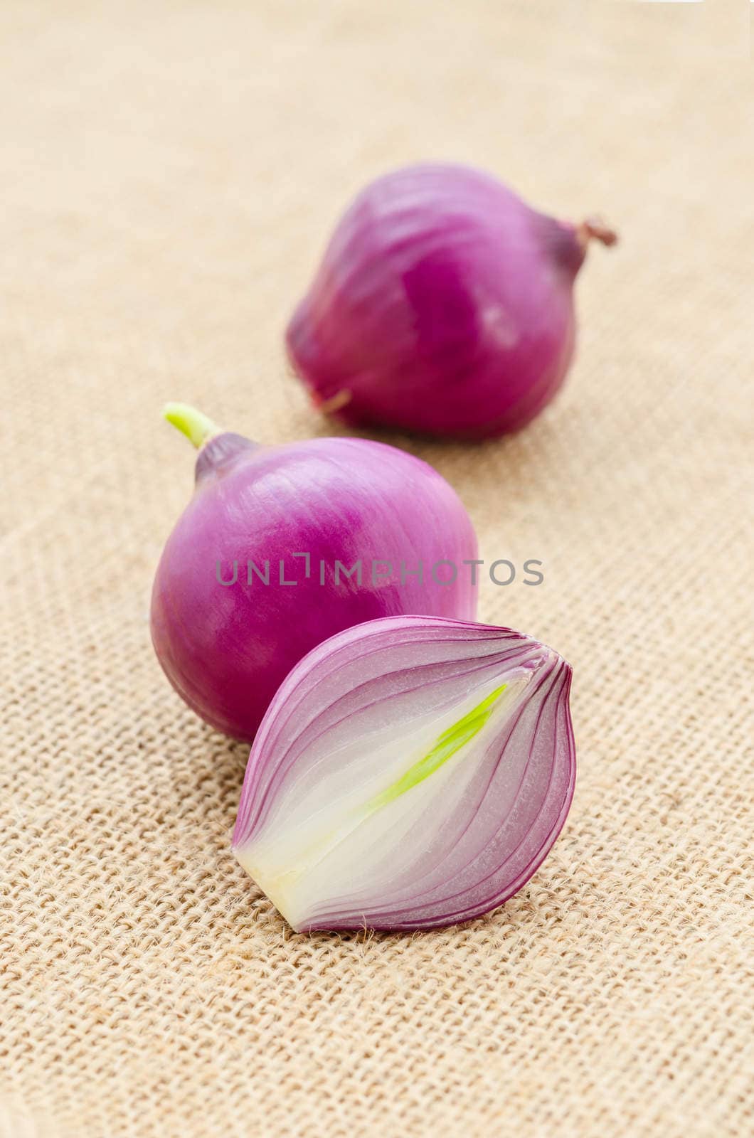 Red sliced onion on sack background