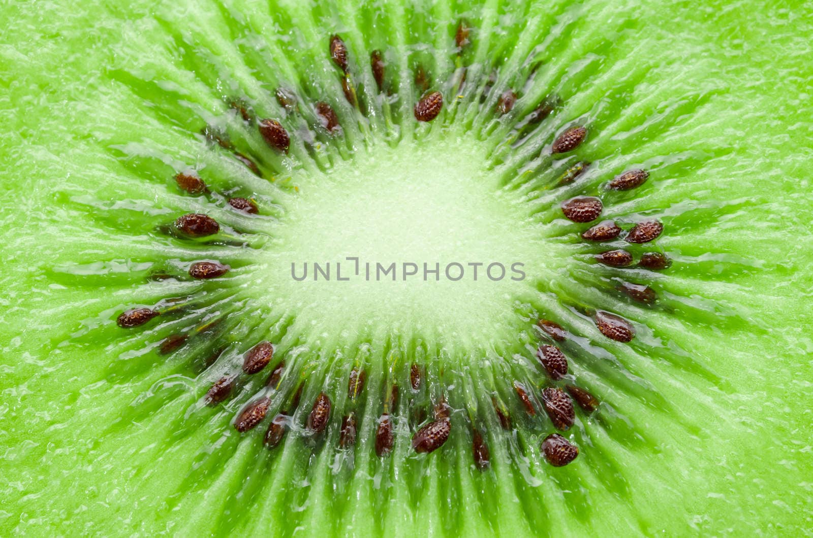 Close up center kiwi textured as background.