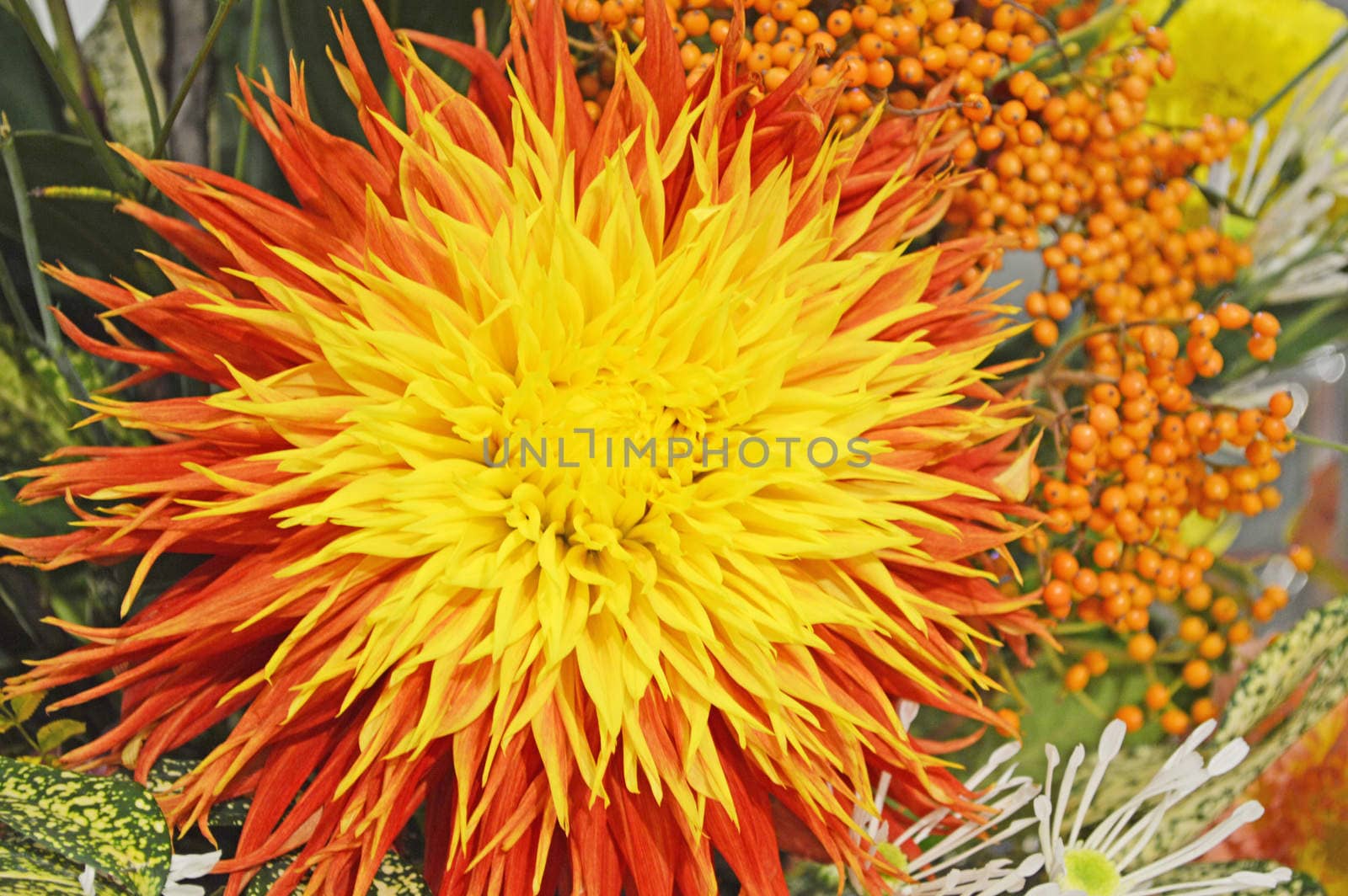Flower Art
