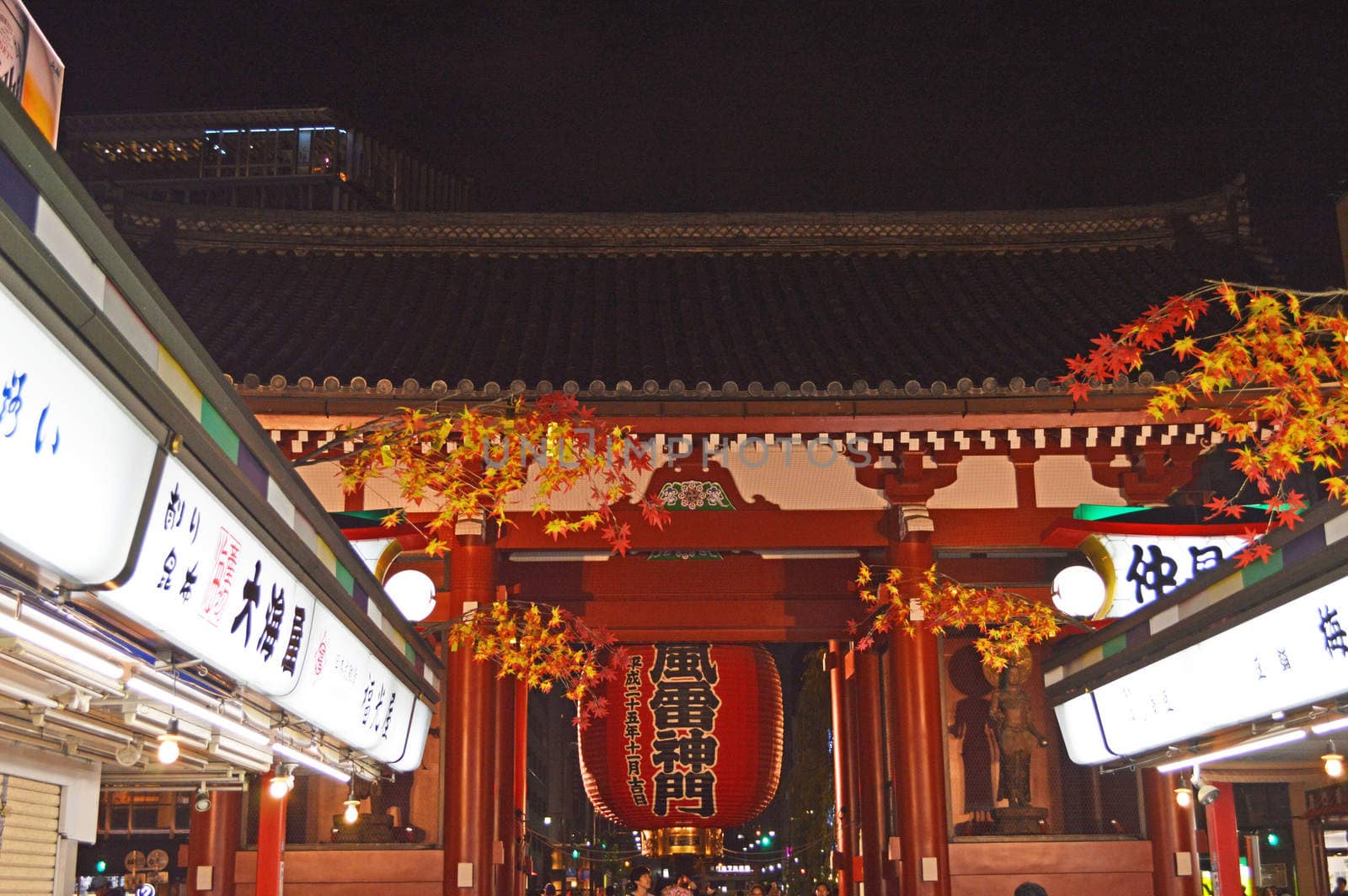 the image of asakusa shrine