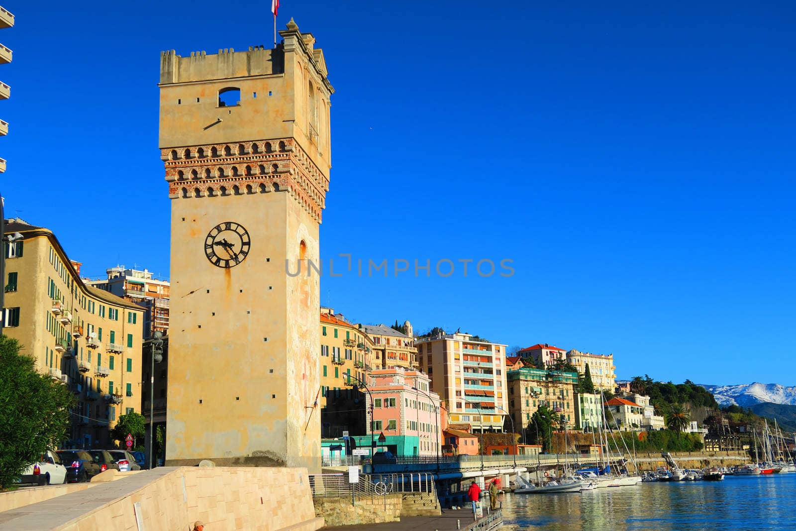 View of the port of Savona, Liguria, Italy with foreground characteristic tower Leon Pancaldo (XIV century).