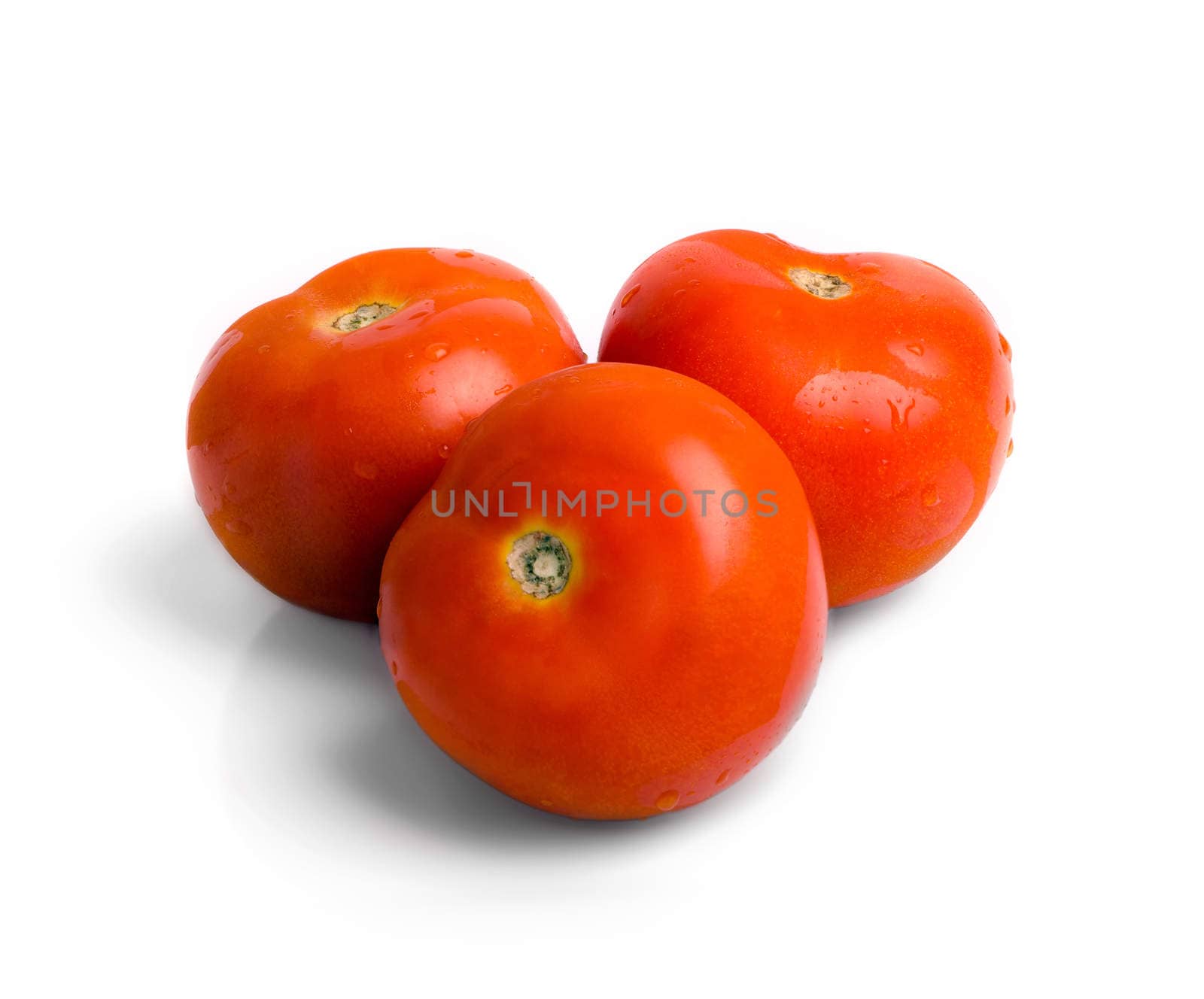 Three fresh dewy tomatoes isolated on white backgorund.