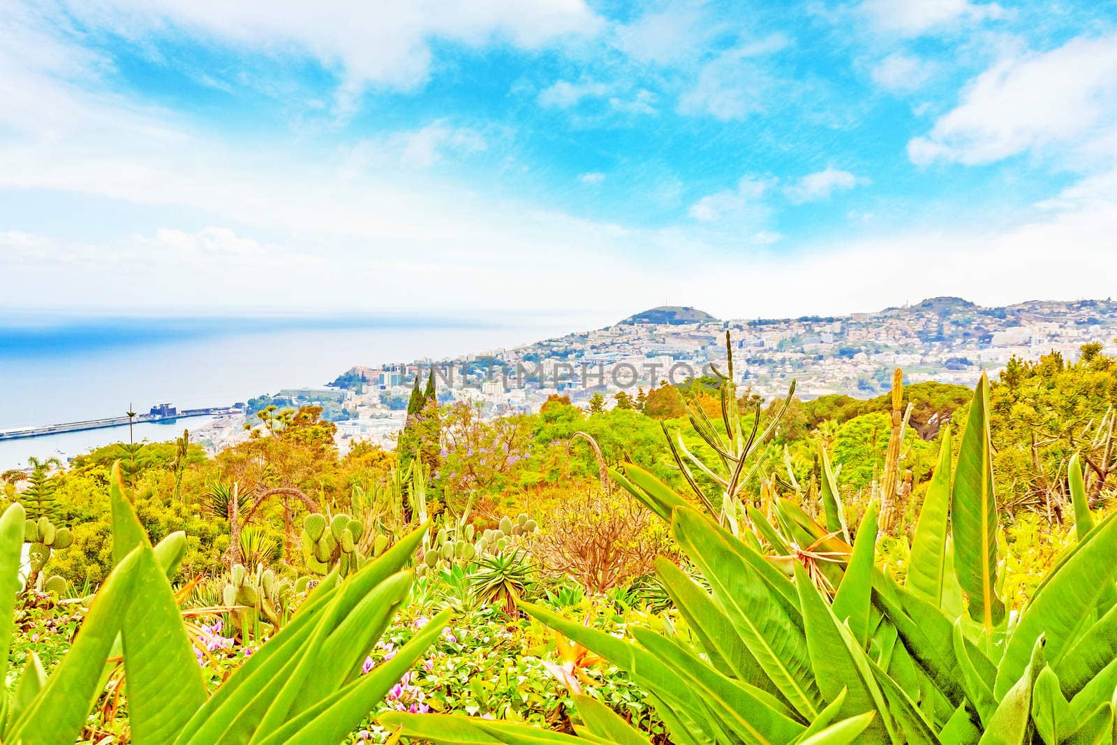 Panoramic view over Funchal, Madeira, Portugal with its harbor