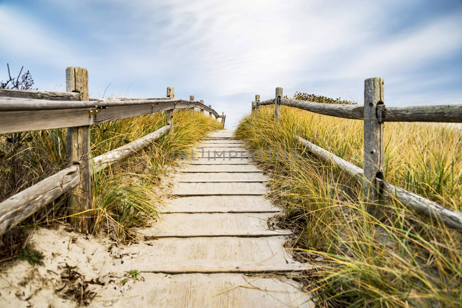 walkpath to the beach made with wood and reeds