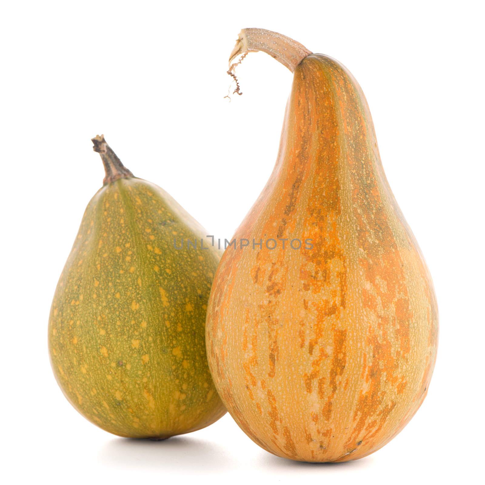 Pumpkins isolated on white background