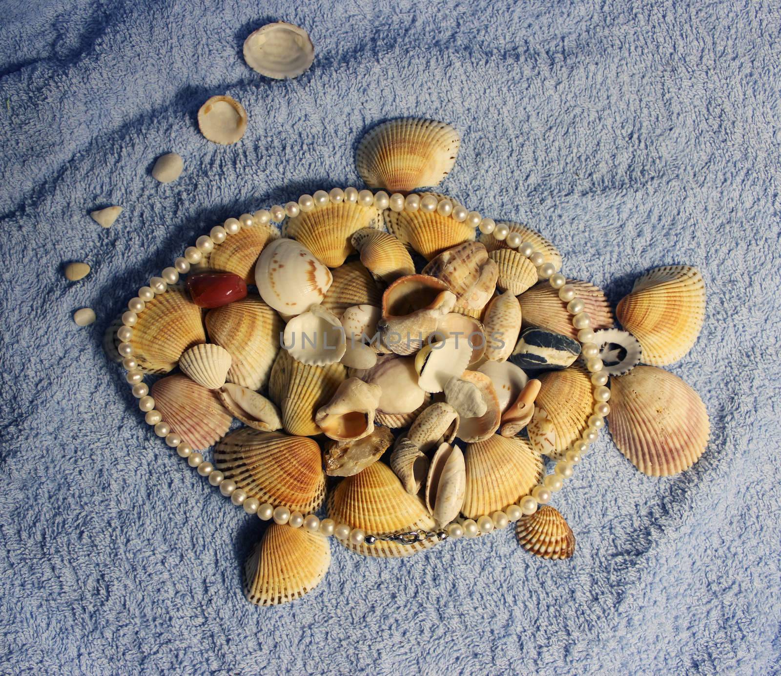 Stones and shells from the Arabian Sea by olga_ovchinnikova