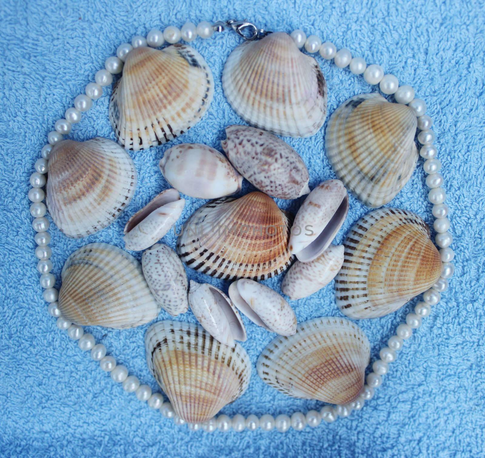 Stones and shells from the Arabian Sea by olga_ovchinnikova