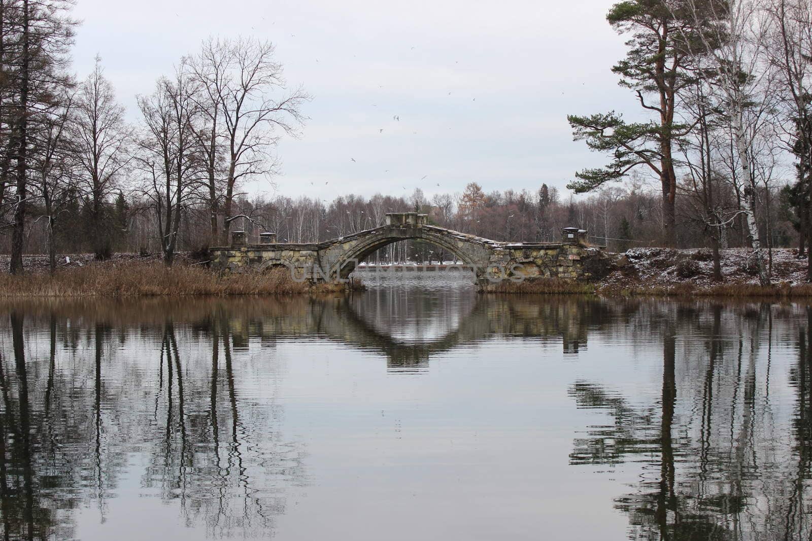 Humpback Bridge in Gatchina park, uniting the two islands in the White Lake. Leningrad, November 2015 by olga_ovchinnikova