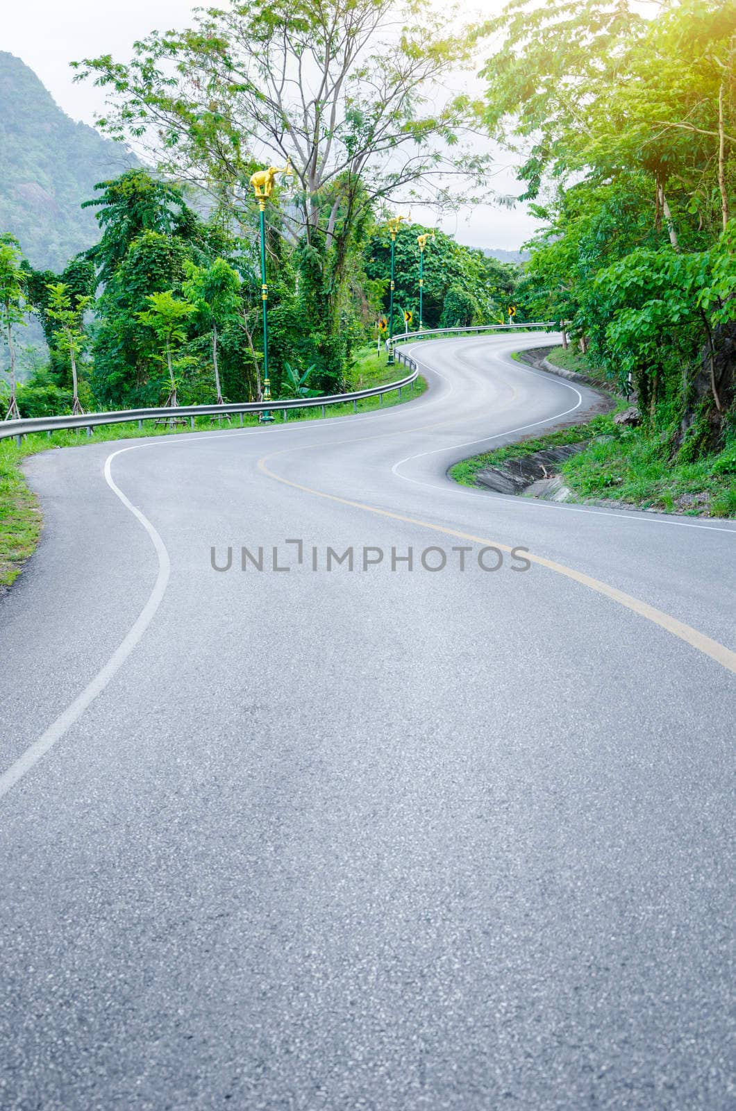 S - Curve way of asphalt road in the green view to the mountain