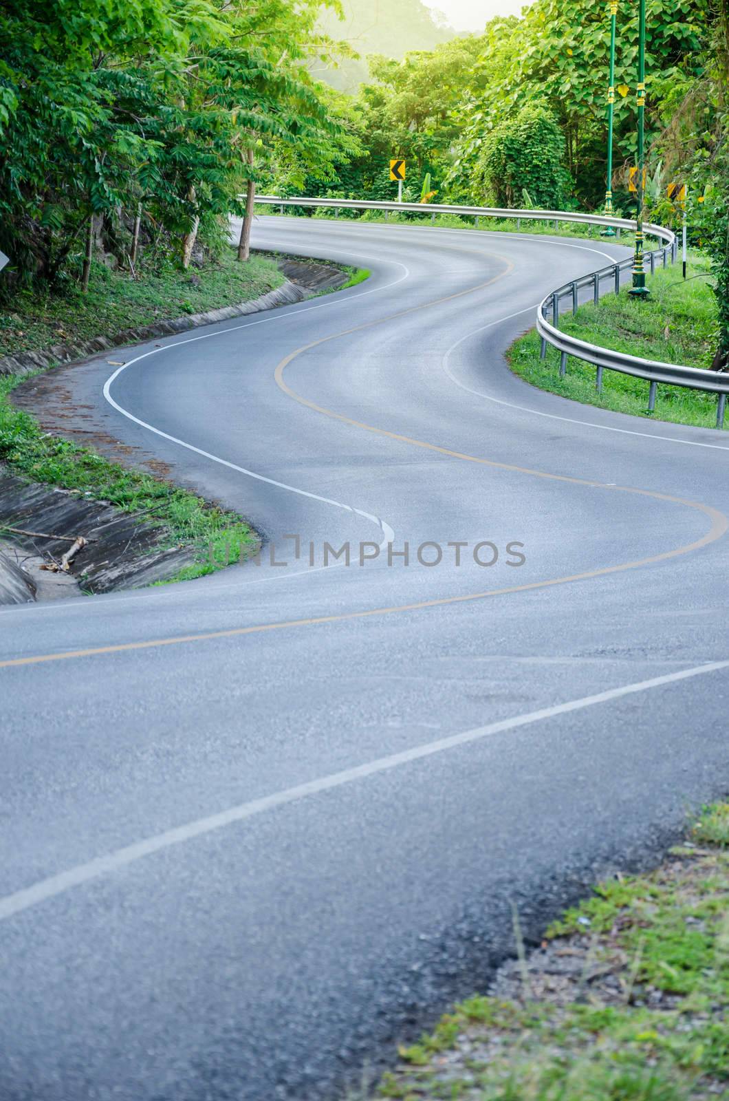 S - curves road into the forest with sun light.