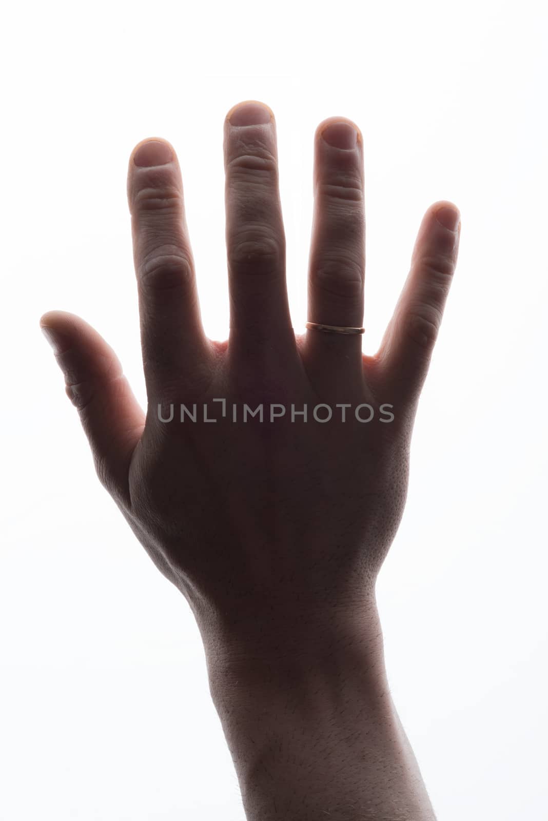 Mans hand on isolated white background, close up view