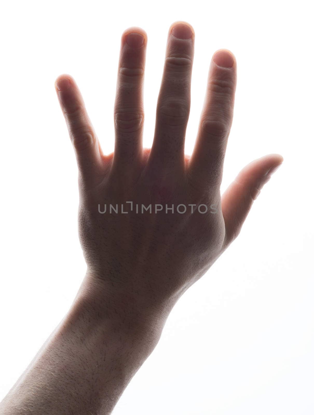 Humans hand showing five count by cherezoff