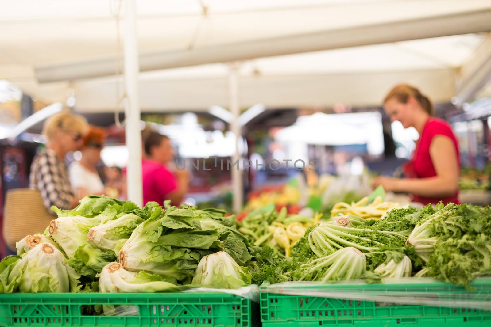 Farmers' food market stall with variety of organic vegetable. Vendor serving and chating with customers.