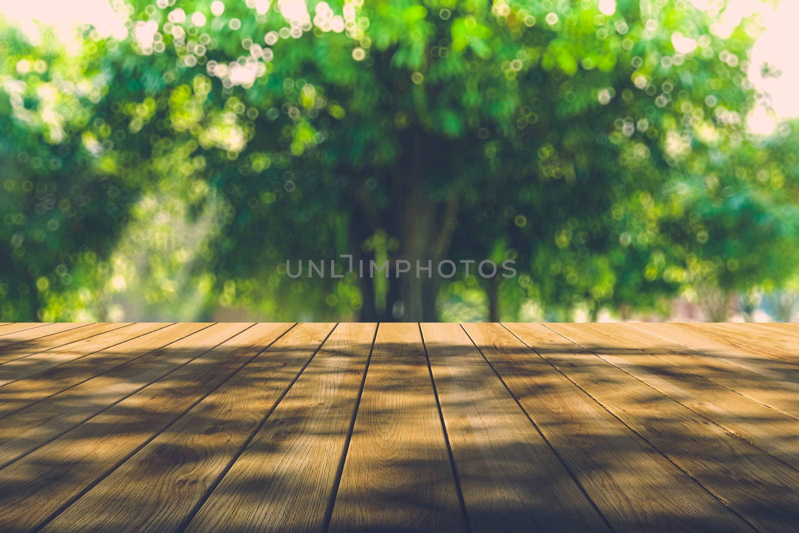 Beautiful sunlight in the autumn forest with wood planks floor by teerawit